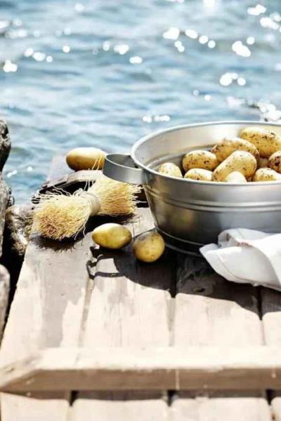 吃什么会长胖,这食物吃多了超级胖 饮食减肥 第1张-瘦瘦减肥网 吃什么会长胖,这食物吃多了超级胖 饮食减肥 第1张