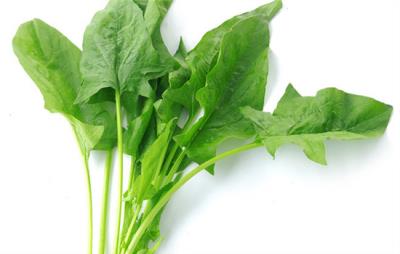 越吃越瘦的10种蔬菜，这些蔬菜吸脂减肥 抽脂减肥 第1张