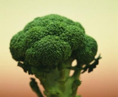 吃什么蔬菜可以最快减肥,8大蔬菜让你健康又营养 饮食减肥 第5张-瘦瘦减肥网 吃什么蔬菜可以最快减肥,8大蔬菜让你健康又营养 饮食减肥 第5张