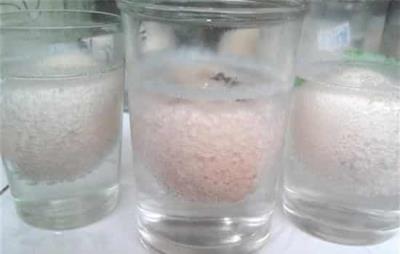 吃醋泡鸡蛋能减肥吗,减肥偏方醋泡蛋怎么吃 饮食减肥 第3张-瘦瘦减肥网 吃醋泡鸡蛋能减肥吗,减肥偏方醋泡蛋怎么吃 饮食减肥 第3张