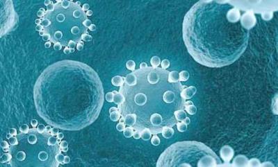 轻断食是什么意思 节食减肥 第7张