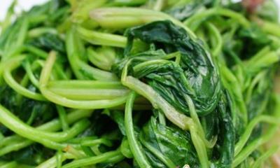 吃什么蔬菜可以最快减肥,8大蔬菜让你健康又营养 饮食减肥 第7张-瘦瘦减肥网 吃什么蔬菜可以最快减肥,8大蔬菜让你健康又营养 饮食减肥 第7张