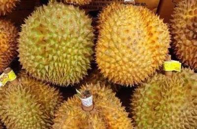 减肥水果有哪些,这些水果不仅不能减肥还会增肥 减肥水果 第5张-瘦瘦减肥网 减肥水果有哪些,这些水果不仅不能减肥还会增肥 减肥水果 第5张