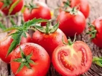 西红柿减肥吃法，怎么吃西红柿减肥效果好 饮食减肥 第1张