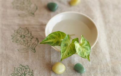 怎样吃饭减肥最快而不反弹，长久保持减肥效果 饮食减肥 第2张