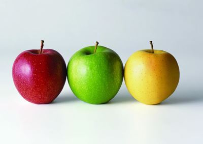 学生快速健康减肥法,制定自己的瘦身计划 减肥方法 第1张-瘦瘦减肥网 学生快速健康减肥法,制定自己的瘦身计划 减肥方法 第1张