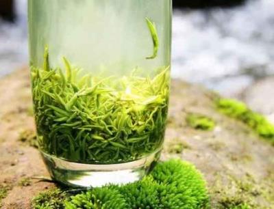 减脂肪的食物,减肥多吃这些食物好 饮食减肥 第2张-瘦瘦减肥网 减脂肪的食物,减肥多吃这些食物好 饮食减肥 第2张