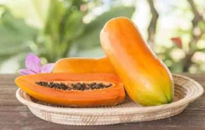 减脂肪的食物，减肥多吃这些食物好 饮食减肥 第5张