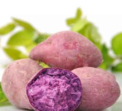 减脂肪的食物,减肥多吃这些食物好 饮食减肥 第3张-瘦瘦减肥网 减脂肪的食物,减肥多吃这些食物好 饮食减肥 第3张