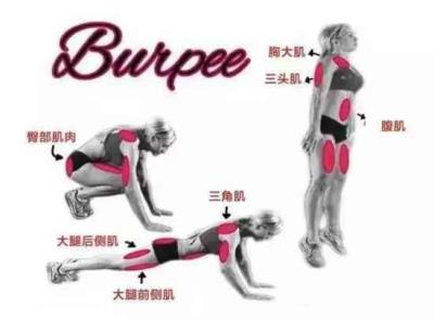 立卧撑的正确做法,全球公认最减肥的动作介绍 减肥 第2张-瘦瘦减肥网 立卧撑的正确做法,全球公认最减肥的动作介绍 减肥 第2张