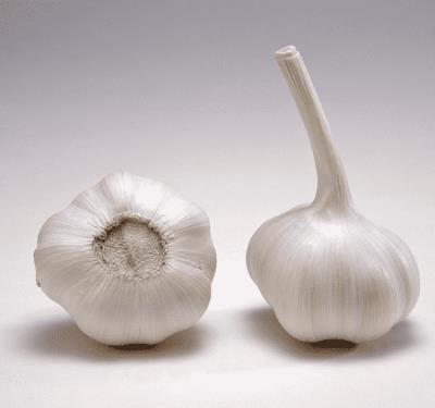 食疗减肥法,推荐去油脂的食物 减肥方法 第3张-瘦瘦减肥网 食疗减肥法,推荐去油脂的食物 减肥方法 第3张