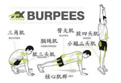 立卧撑的正确做法,全球公认最减肥的动作介绍 减肥 第8张-瘦瘦减肥网 立卧撑的正确做法,全球公认最减肥的动作介绍 减肥 第8张