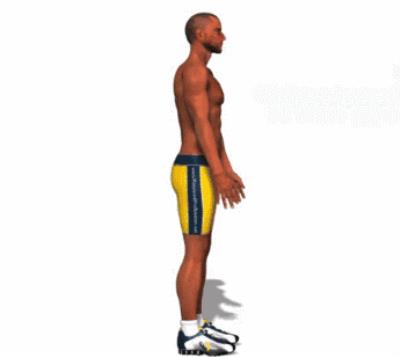 立卧撑的正确做法,全球公认最减肥的动作介绍 减肥 第7张-瘦瘦减肥网 立卧撑的正确做法,全球公认最减肥的动作介绍 减肥 第7张