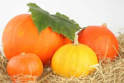 冬季懒妹子减肥食物，达人分享甩肉秘籍 减肥 第3张