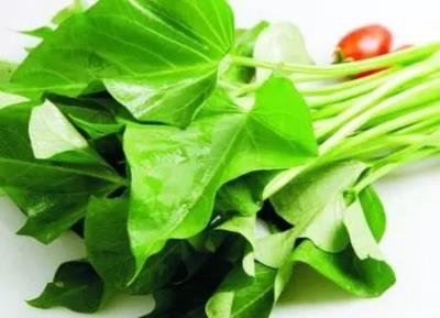 减肥瘦肚子的食物,多吃这些食物瘦肚子快 减肚子 第7张-瘦瘦减肥网 减肥瘦肚子的食物,多吃这些食物瘦肚子快 减肚子 第7张