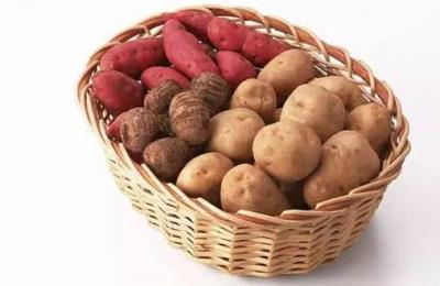 减肥要吃哪些食物,吃这三样就够了 饮食减肥 第1张-瘦瘦减肥网 减肥要吃哪些食物,吃这三样就够了 饮食减肥 第1张