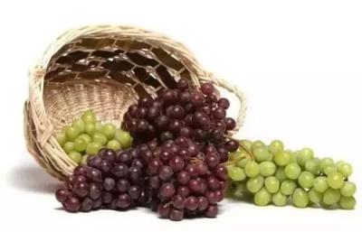 吃什么食物可以瘦肚子,这10种食物效果出众 减肚子 第7张-瘦瘦减肥网 吃什么食物可以瘦肚子,这10种食物效果出众 减肚子 第7张