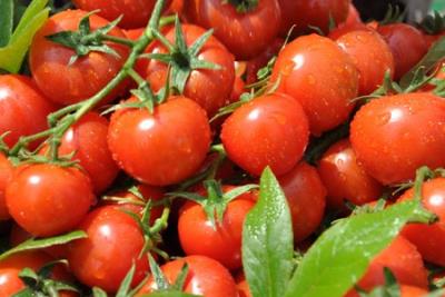 营养蔬菜水果减肥食谱,苹果香蕉不可缺少 减肥食谱 第5张-瘦瘦减肥网 营养蔬菜水果减肥食谱,苹果香蕉不可缺少 减肥食谱 第5张