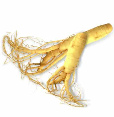 中医认证的中药减肥茶配方 减肥饮品 第2张-瘦瘦减肥网 中医认证的中药减肥茶配方 减肥饮品 第2张