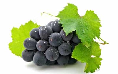 夏季吃什么水果可以丰胸,吃的丰胸的最快方法 丰胸 第2张-瘦瘦减肥网 夏季吃什么水果可以丰胸,吃的丰胸的最快方法 丰胸 第2张