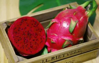 吃火龙果会发胖吗，高纤维火龙果其实可减肥 饮食减肥 第2张