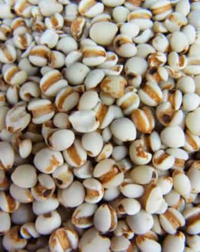 推荐可以瘦腿的食物,既可减肥又可美容养颜 瘦腿 第5张-瘦瘦减肥网 推荐可以瘦腿的食物,既可减肥又可美容养颜 瘦腿 第5张