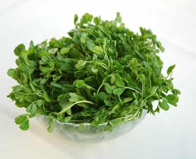 自然瘦脸食物与方法,如何瘦脸最快最有效 瘦脸 第2张-瘦瘦减肥网 自然瘦脸食物与方法,如何瘦脸最快最有效 瘦脸 第2张