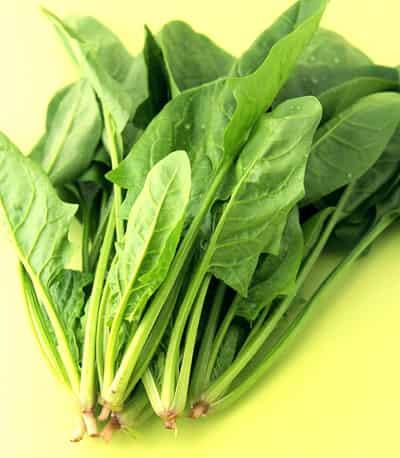 自然瘦脸食物与方法,如何瘦脸最快最有效 瘦脸 第1张-瘦瘦减肥网 自然瘦脸食物与方法,如何瘦脸最快最有效 瘦脸 第1张