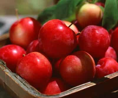 学生自然瘦腿最快方法,八款瘦腿食物帮你塑造长腿 瘦腿 第6张-瘦瘦减肥网 学生自然瘦腿最快方法,八款瘦腿食物帮你塑造长腿 瘦腿 第6张