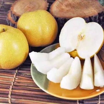 有利于减肥的水果,最刮油的水果竟是它 减肥 第3张-瘦瘦减肥网 有利于减肥的水果,最刮油的水果竟是它 减肥 第3张