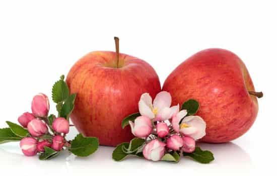 苹果饭前吃好还是饭后吃好，养生又瘦身的苹果得吃对时间 饮食减肥 第5张