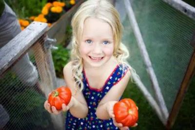 西红柿减肥吃法，7天狂瘦10斤 饮食减肥 第3张