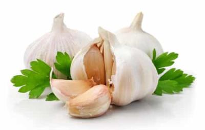 秋季健康减肥食谱:大蒜减肥法一周排毒去脂 减肥食谱 第5张-瘦瘦减肥网 秋季健康减肥食谱:大蒜减肥法一周排毒去脂 减肥食谱 第5张