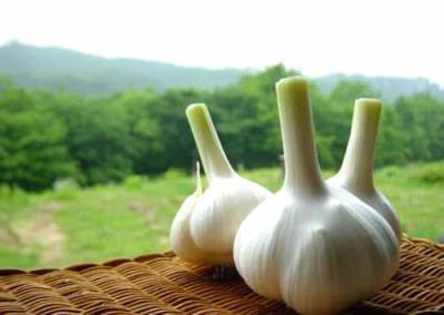 秋季健康减肥食谱:大蒜减肥法一周排毒去脂 减肥食谱 第6张-瘦瘦减肥网 秋季健康减肥食谱:大蒜减肥法一周排毒去脂 减肥食谱 第6张