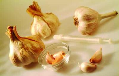 秋季健康减肥食谱:大蒜减肥法一周排毒去脂 减肥食谱 第1张-瘦瘦减肥网 秋季健康减肥食谱:大蒜减肥法一周排毒去脂 减肥食谱 第1张