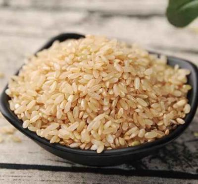 饮食减肥食谱 减肥食谱 第3张