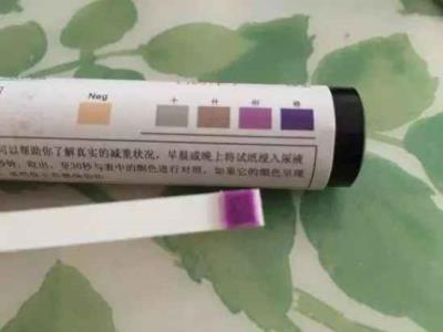 什么饮食结构称为生酮饮食减肥 减肥 第5张-瘦瘦减肥网 什么饮食结构称为生酮饮食减肥 减肥 第5张