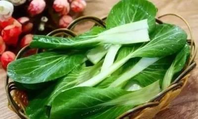 油菜减肥法,通便强身瘦10斤 减肥方法 第1张-瘦瘦减肥网 油菜减肥法,通便强身瘦10斤 减肥方法 第1张