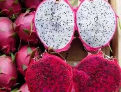 什么水果刮油,这14种越吃越瘦 饮食减肥 第15张-瘦瘦减肥网 什么水果刮油,这14种越吃越瘦 饮食减肥 第15张