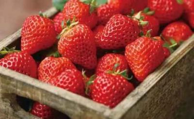 什么水果刮油,这14种越吃越瘦 饮食减肥 第16张-瘦瘦减肥网 什么水果刮油,这14种越吃越瘦 饮食减肥 第16张