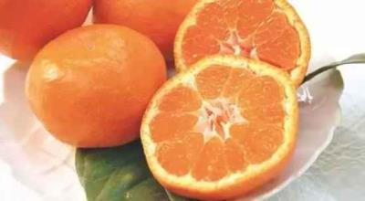 什么水果刮油,这14种越吃越瘦 饮食减肥 第17张-瘦瘦减肥网 什么水果刮油,这14种越吃越瘦 饮食减肥 第17张