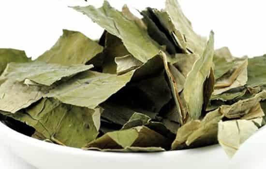 荷叶茶如何制作,自制美颜瘦身荷叶茶 减肥饮品 第1张-瘦瘦减肥网 荷叶茶如何制作,自制美颜瘦身荷叶茶 减肥饮品 第1张