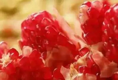 自制发汗减肥法，每天5分钟能瘦25斤以上 减肥方法 第1张