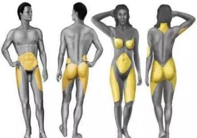 瘦小肚腩最有效的方法,3招教你解决烦恼 减肚子 第3张-瘦瘦减肥网 瘦小肚腩最有效的方法,3招教你解决烦恼 减肚子 第3张