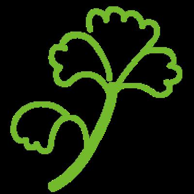 吃什么能减肥瘦肚子,5种食物狂甩赘肉 减肚子 第7张-瘦瘦减肥网 吃什么能减肥瘦肚子,5种食物狂甩赘肉 减肚子 第7张