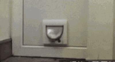 身材重要还是脸蛋重要,身材和脸蛋你会怎么选择 瘦脸 第14张-瘦瘦减肥网 身材重要还是脸蛋重要,身材和脸蛋你会怎么选择 瘦脸 第14张