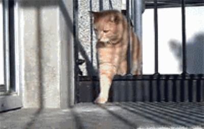 身材重要还是脸蛋重要,身材和脸蛋你会怎么选择 瘦脸 第13张-瘦瘦减肥网 身材重要还是脸蛋重要,身材和脸蛋你会怎么选择 瘦脸 第13张