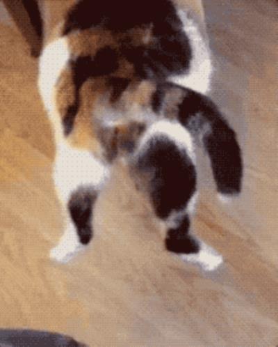 身材重要还是脸蛋重要,身材和脸蛋你会怎么选择 瘦脸 第16张-瘦瘦减肥网 身材重要还是脸蛋重要,身材和脸蛋你会怎么选择 瘦脸 第16张