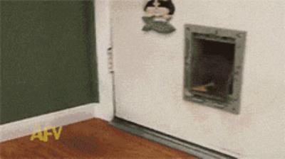 身材重要还是脸蛋重要,身材和脸蛋你会怎么选择 瘦脸 第12张-瘦瘦减肥网 身材重要还是脸蛋重要,身材和脸蛋你会怎么选择 瘦脸 第12张