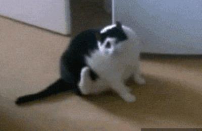 身材重要还是脸蛋重要,身材和脸蛋你会怎么选择 瘦脸 第15张-瘦瘦减肥网 身材重要还是脸蛋重要,身材和脸蛋你会怎么选择 瘦脸 第15张